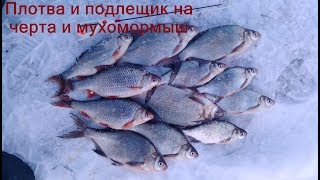 Вот это плотва!!!Ловля на чертик!!!