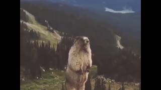 Когда переехал на Дальний Восток по госпрограмме «Дальневосточный гектар»