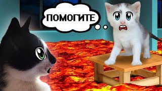 КОТИКИ МАЛЫШ И МУРКА ВЫБИРАЮТ ЧТО КРУЧЕ? 3 МАРКЕРА ЧЕЛЛЕНДЖ? Floor is lava CHALLENGE или ЕДА СКВИШИ