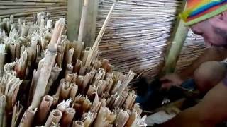 Дом из камыша (очерета, тростника)