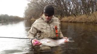 Рыбалка на Камчатке: Семга - королева реки. Kamchatka Steelhead