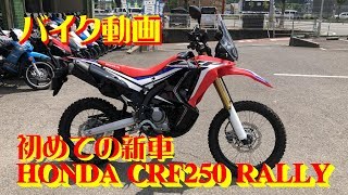 【バイク動画】初めての新車 HONDA CRF250 RALLY 納車だよ～ん。