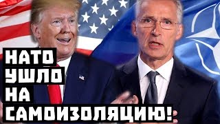 Ой, всё! НАТО ушло на самоизоляцию!