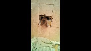 Спасение котенка из вентиляционного канала в Верхней Пышме