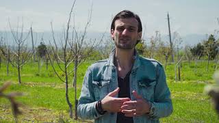 ჩანდლერის კაკლის ბაღი