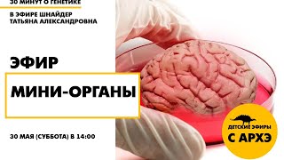 Детский эфир «Мини-органы» в рамках рубрики «30 минут о генетике» с Татьяной Шнайдер