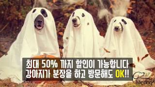 할로윈강아지 인천강아지분양,김포강아지분양,평택강아지분양,일산강아지분양,애견샵
