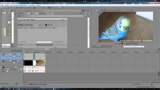 Как cоздать бегущую строку в программе Sony Vegas Pro 12.0. Izuchenie program.