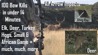 100 bow hunts in 14 minutes  BEST ARROW IMPACTS see how we archery hunt big game  PLACEMENT POV
