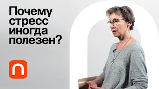 Эустресс — Анна Усенко 