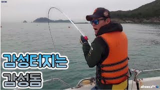 통영 풍화리 선외기 감성돔12마리!! 흘림낚시! with 실제 보이스피싱
