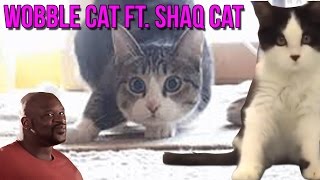 Wobble Baby Cat ft. Shaq Cat (Original)