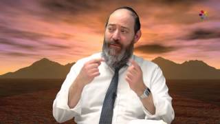 Rabbi David Kaplan - Weekly Torah Portion: Shemot - Part 4