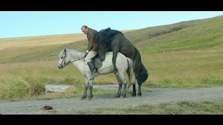 OF HORSES AND MEN - Officiële NL trailer