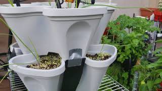 Coco coir/Hydroponic Tower Garden