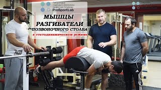 СТАТОДИНАМИКА. Упражнение на мышцы разгибатели позвоночного столба