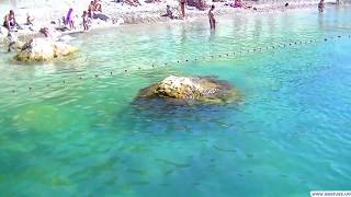Алупка пляж Лягушка детского санатория им. А.А. Боброва