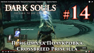 Dark Souls: Присцилла Полукровка / Crossbreed Priscilla + Дракон Нежить / Undead Dragon