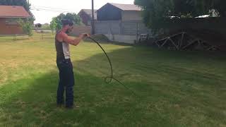 Rango Cracking the 8’ Bullwhip