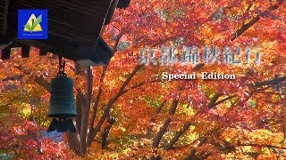時空の栞　－京都錦秋紀行SE－　cool kyoto japan
