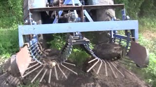 Картофелекопалка двухрядная. Копаем картошку трактором