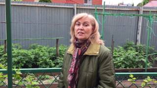 Что нужно делать с виноградным кустом весной/Виноградник весной, что делать?