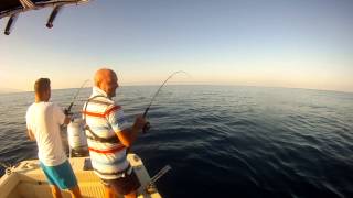 Tonnetto Alletterato Belvedere Marittimo 23-08-14