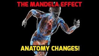 The Mandela Effect 101 Anatomy changes