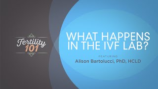 What Happens In The IVF Lab?