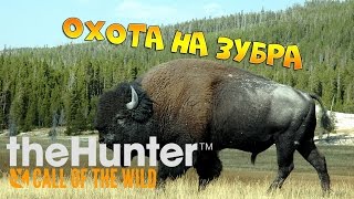 theHunter Call of the Wild #5 - Охота на зубра | охотник следопыт