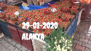 ALANYA Цены на рынке 29 января в Конаклы Клубника Цитрусы Помидоры