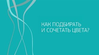 Как подбирать и сочетать цвета?