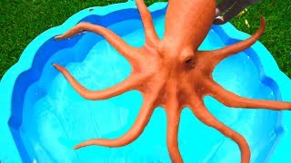 Wild Animals and Farm Animals into Pool for Kids - Learn Colors with Zoo Animals