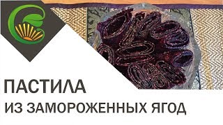 Пастила из замороженных ягод