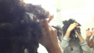 Vlog #6: Naturalista