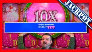 RARE! GLINDA DELIVERS A 10X! MASSIVE WINNING on Wizard of Oz Slot Machines With SDGuy1234