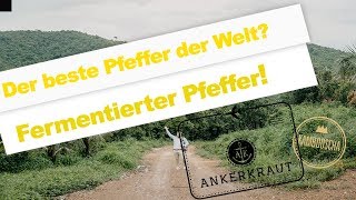 The Taste of Ankerkraut | Kambodscha | Fermentierter Pfeffer aus Kambodscha!