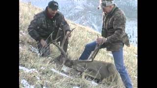 Huge 210" Typical Mule Deer Rifle Hunt - MossBack