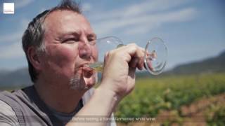 Cata de Sonsierra Tempranillo Blanco con "Lo mejor del vino de Rioja" (English Subtitles)