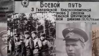 3 я гвардейская штурмовая авиационная Валдайско Ковельская Краснознамённая ордена Суворова дивизия