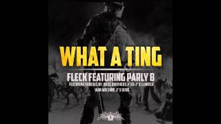 Fleck Ft. Parly B – What A Ting (BassBrothers Remix)