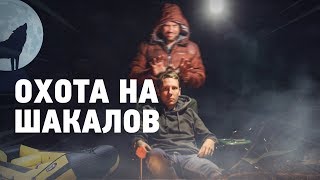 Охота на шакалов. 2 кадра 01.11.2018