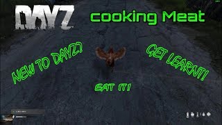 DayZ Cooking Meat