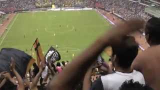 el puma no tiene mujer el puma no tiene marido en el gallinero 20/abril/2013
