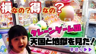 クレーンゲーム設定ミス？激取り後でかっりんごスクイーズでまさかの・・・天国と地獄のターンで損か得か？