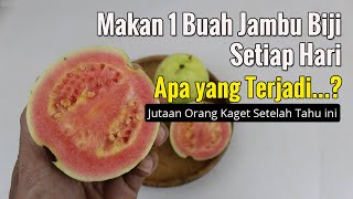 JUTAAN ORANG KAGET... TERNYATA MAKAN JAMBU BIJI SETIAP HARI, DAMPAKNYA BIKIN GELENG-GELENG KEPALA