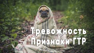 Признаки ГТР (Генерализованное тревожное расстройство)