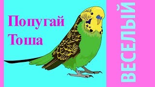 МИЛЫЙ И ЗАБАВНЫЙ ПОПУГАЙ//ВЕСЕЛЫЙ ВОЛНИСТЫЙ ПОПУГАЙ//ПТИЦЫ//ЗЕЛЕНЫЙ ПОПУГАЙЧИК TV