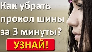 летние шины 205 55 r16