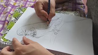 Show Jumbo Muhabbet Kuşu Çizimi (4dkda akıldan)?